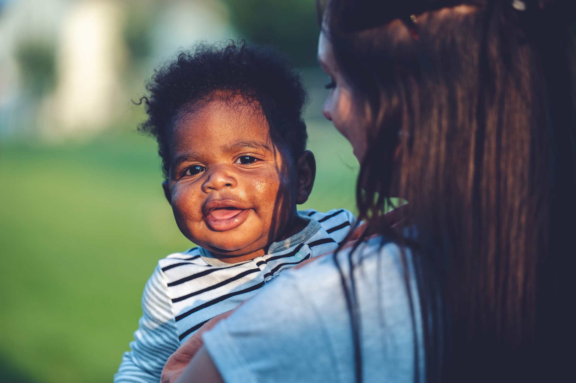 PorterLaw_AdoptionFPO
